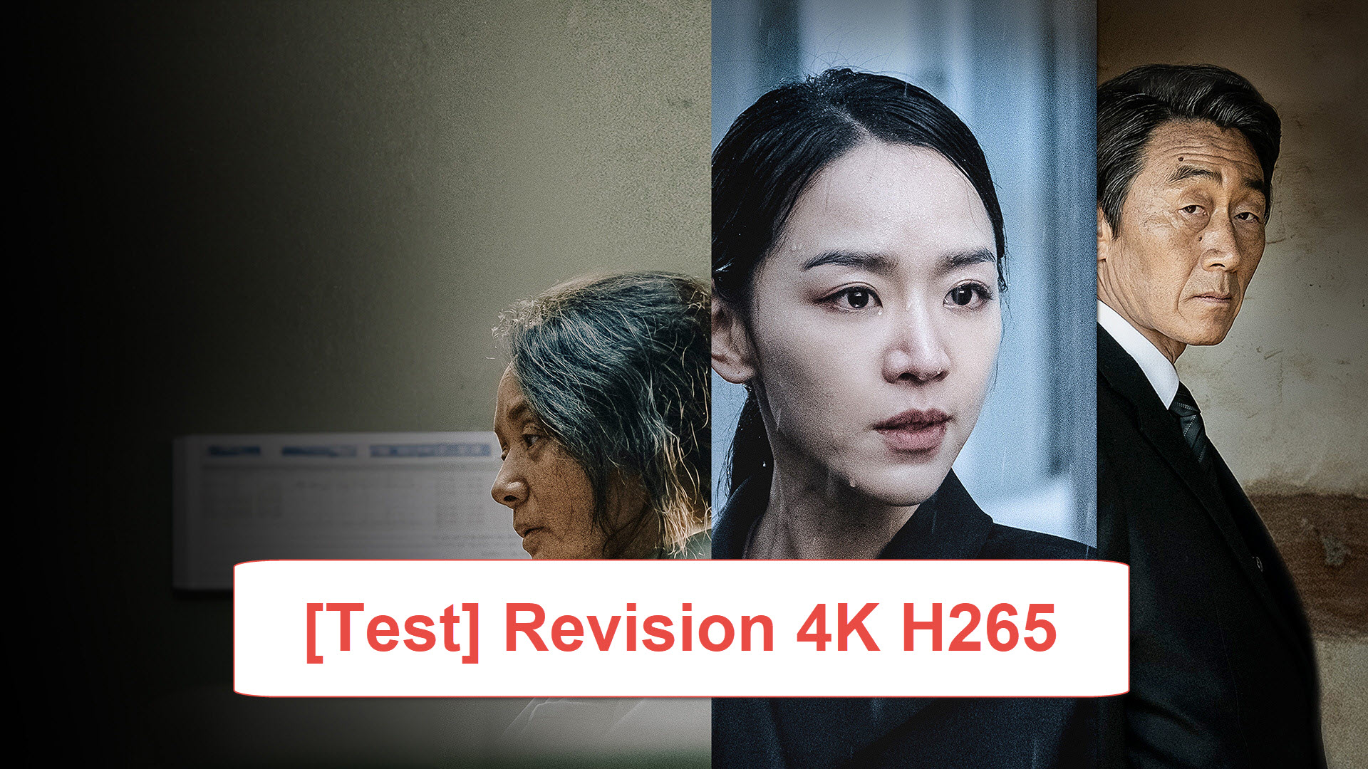  test revision 4k h265