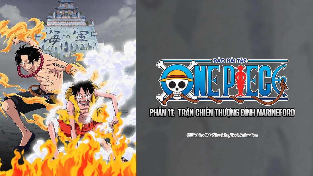 Đảo Hải Tặc (Phần 11): Trận Chiến Thượng Đỉnh Marineford